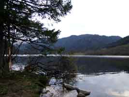 Lac de Longemer