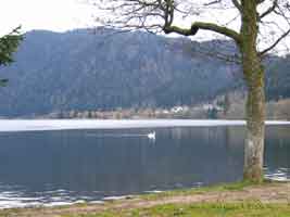 Lac de Longemer