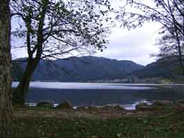 Lac de Longemer