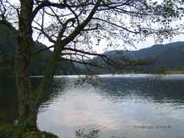 Lac de Longemer