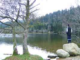 Lac de Longemer