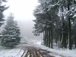 photo du col le 11 novembre 2004