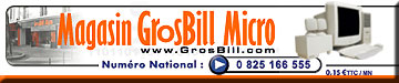 120 Grosbilliennes et Grosbilliens à votre service