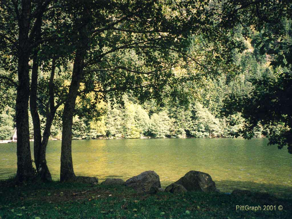 Longemer